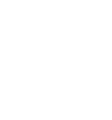 Project 29